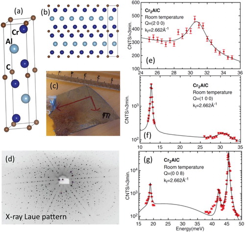 Figure 1. (a) and (b) atomic structure of Cr2AlC (P63/mmc space group, a = 0.286 nm, c = 1.282 nm) (c) Photograph picture of a Cr2AlC single crystal used for measurements. (d) Transmission Laue diffraction pattern (the longer red axis in (c) corresponds to the horizontal direction in (d)). Crystal shape corresponds to a vertical cross section of the crucible shape and solution surface, which ultimately limit crystal expansion. (e), (f) and (g) are selected inelastic neutron scattering phonon spectra measured for scattering vector values indicated in the Figure. Lines are fits of the data with harmonic oscillator line shape. The scattering vector Q is decomposed into Q = G + q, where G is a reciprocal lattice wavevector and q is the wavevector of the excitation.