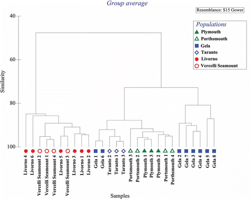 Figure 9. Cluster analysis showing similarities among Sabella pavonina specimens (Glower similarity) based on morphometrics and presence/absence of diagnostic features.
