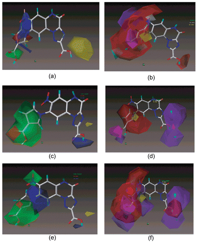 Figure 4.  CoMSIA STDEV*COEFF contour maps for steric and electrostatic fields of a) AMPA, c) KA, e) Pair wise model. Hydrophobic, donor and acceptor field of b) AMPA, d) KA, f) Pair wise model. The most active molecule 22 is displayed in the background.