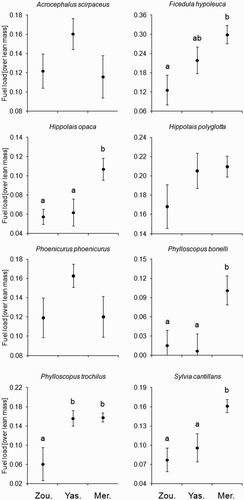 Figure 4. Fuel loads (mean ± se) of eight European–Afrotropical migrant species caught at three oases in southern Morocco during spring migration in 2011. In species where we detected significant differences among sites (Table 3), the same letters lump mean values without significant differences between them.