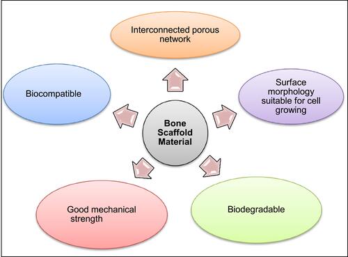 Figure 1 Some important properties of a bone scaffold.