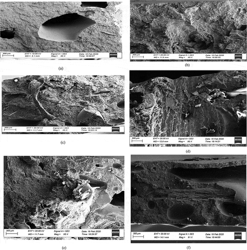 Figure 14. SEM micrographs with (a) recycled HDPE at x90; (b) 3 wt.% hybrid-of-3 reinforced composite at x95; (c) 6 wt.% hybrid-of-3 Reinforced Composite at x95; (d) 9 wt.% hybrid-of-3 reinforced composite at x90; (e) 12 wt.% hybrid-of-3 Reinforced composite at x95; (f) 15 wt.% hybrid-of-3 reinforced composite x91, at accelerating voltage of 10KV