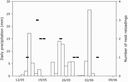 Figure 3. Number of nest reloadings (addition of nest material) by wild female Common Pochards (black boxes) in relation to precipitation (open bars) during the study period (from 10 May to 10 June 2008).