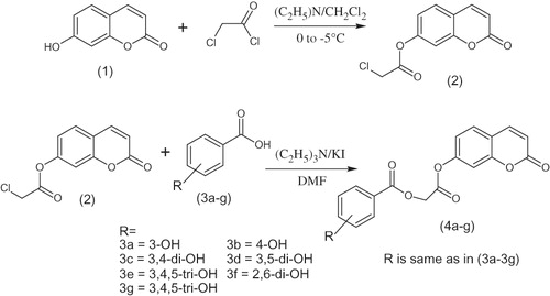 Scheme 1. Synthesis of coumarin analogues (4a–g).