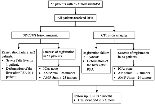 Figure 2. Flow chart of the present study. RFA: radiofrequency ablation; 3DCEUS: three-dimensional contrast-enhanced ultrasound; CT: computed tomography; ICA: incomplete ablation; AM: ablative margin; LTP: local tumor progression.