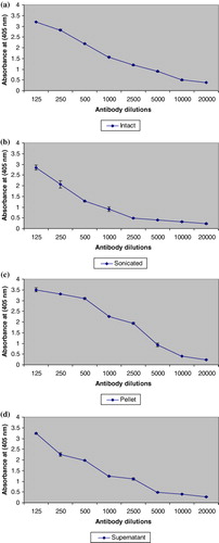 Figure 2. Antibody dilution curve for determination of titres of ATA generated against (a) intact teliospores, (b) pellet of crushed teliospores, (c) SY and (d) supernatant of crushed teliospores.