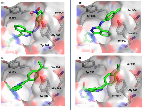 Figure 4. Surface representation of compound 6 (a), compound 13 (b), compound 19 (c) and compound 20 (d) bound to PARP-1 (7aad) active site.