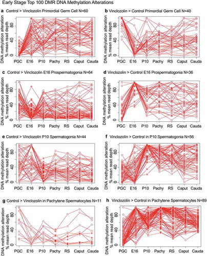 Figure 6. DMR developmental timelines. Top 100 most statistically significant DMR developmental alterations (E13 primordial germ cells, E16 prospermatogonia, P10 spermatogonia, pachytene spermatocyes). The DMRs are separated into two groups based on whether scaled RPKM read depth is elevated in the control or in the exposure lineage. The vinclozolin percent (%) scaled RPKM read depth developmental timelines are presented. (a,b) Top 100 DMRs in the primordial germ cell comparison. (c,d) Top 100 DMRs in the E16 prospermatogonia comparison. (e,f) Top 100 DMRs in the P10 spermatogonia comparison. (g,h) Top 100 DMRs in the pachytene spermatocytes comparison.