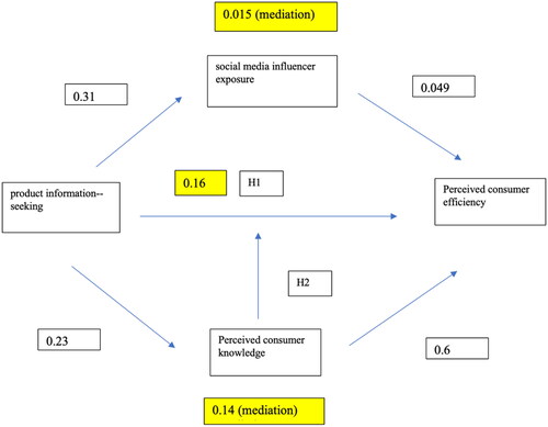 Figure 2. Findings of mediation and moderation models with major variables. Figure presents standardized coefficients.