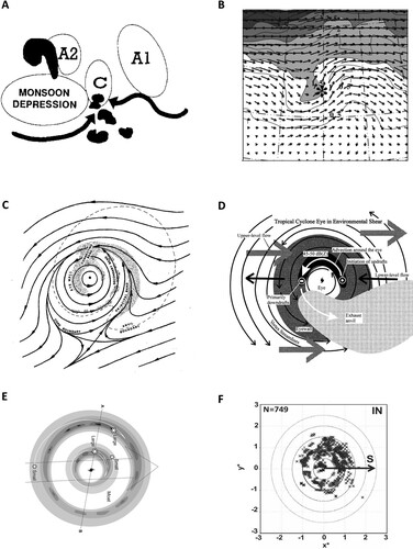 Fig. 12 Horizontal structure. (a) Schematic of the interacting mechanisms leading to enhanced potential for tropical cyclone formation in the monsoon confluence zone (from Holland, Citation1995). (b) Horizontal plot on the 200 mb surface for the favourable superposition of an upper-level trough composite with wind vectors and Ertel PV (shaded). The increment in longitude and latitude is 10 degrees (from Hanley et al., Citation2001). (c) Schematic representation of the horizontal structure of radar reflectivity and the atmospheric flow in which it is imbedded (from Willoughby et al., Citation1984). (d) Schematic illustration of shear-induced convective asymmetry based upon observations of Jimena and Olivia (from Black et al., Citation2002). (e) Horizontal structure of a tropical cyclone with concentric eyewalls. The dashed arrow represents environmental shear (from Hence & Houze, Citation2012). (f) Location of convective bursts in intensifying tropical cyclones. Radial coordinates are normalized by RMW. Black arrow represents environmental shear (from Rogers et al., Citation2013).