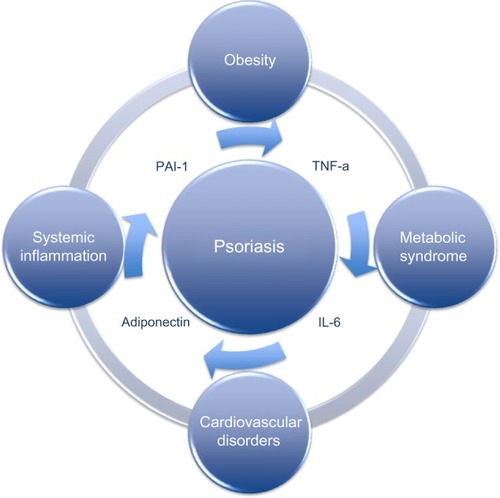 Figure 1 Psoriasis is a systemic disease of chronic inflammation, which is closely related to other diseases of systemic inflammation, such as obesity, cardiovascular comorbidities, and metabolic syndrome.