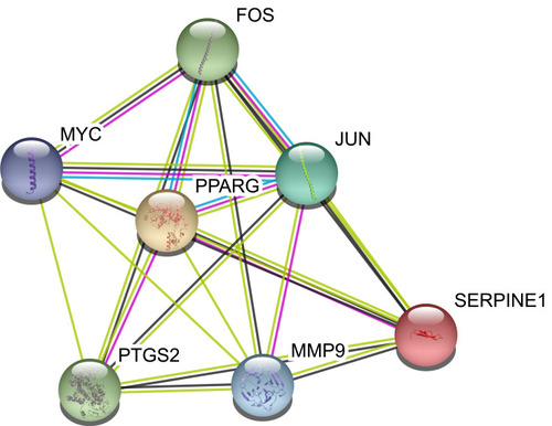 Figure 5 Protein–protein interaction network of core proteins. Seven genes were found in the intersections of the top 10 genes according to degree, betweenness, and closeness.