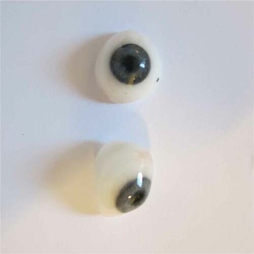 Figure 3. Prostheses from one child with bilateral anophthalmia.