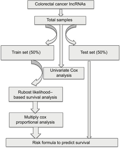 Figure 1 Main workflow for the identification of cancer-related lncRNAs.