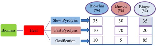 Figure 2. Thermo-chemical conversion of biomass into bio-oil, biochar, and gases (Mohan et al., Citation2014).