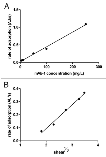 Figure 2. TIRF data showing linear relationships for the rate of adsorption of mAb-1 to the glass surface vs. its concentration for a constant shear of 6 sec−1 (A), and the cube root of the shear rate for a mAb-1 concentration of 0.01 mg/mL (B), according to the Leveque equation.