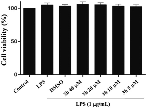 Figure 3. The cytotoxic evaluation of compound 3h against Raw 264.7 cells. RAW 264.7 cells were pretreated with DMSO or different concentrations of compound 3h for 1 h and treated with LPS (1 μg/mL) for 24 h.