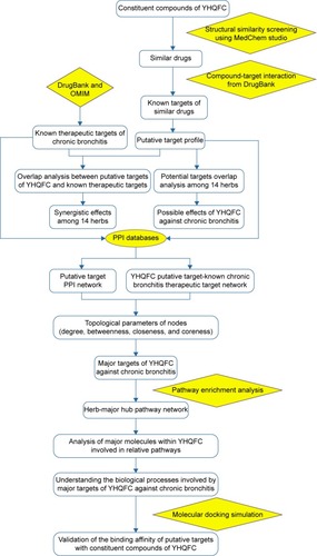 Figure 1 Whole framework of this study based on network pharmacology for deciphering pharmacological mechanisms of YHQFC acting on chronic bronchitis.