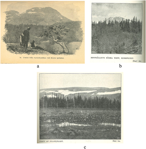 Figure 11. The pictorial in Figure 11.a0 was published in the yearbook of 1896 (Cleve & Paijkull, Citation1896, p. PL.40), creator unknown. The photograph in Figure 11.b was taken by Karl-Erik Forsslund and published in the yearbook of 1908 (Forsslund, Citation1908, p. 33). The photograph in Figure 11.c was also taken by Karl-Erik Forsslund and published in the yearbook of 1911 (Forsslund, Citation1911, p. 200).