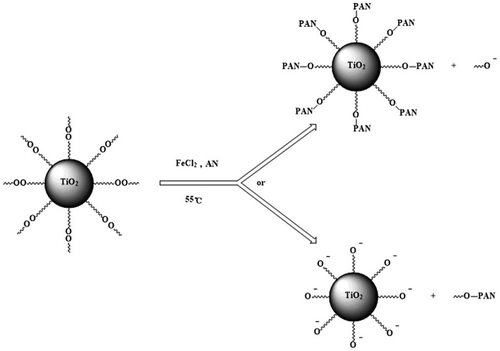 Scheme 5. Polymerization of AN initiated by modified nano-TiO2 in redox initiation system.