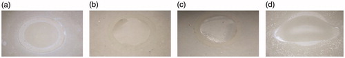 Figure 3. Representative digital microscopy photos of the failure types after debonding (a) Score 1 = Adhesive failure at the ceramic-cement interface with no cement remnants left on the substrate, (b) Score 2 = ≤1/3 cement left adhered on the substrate, (c) Score 3 = ≥1/3 cement left adhered on the substrate, (d) Score 4 = Cohesive failure within the substrate.