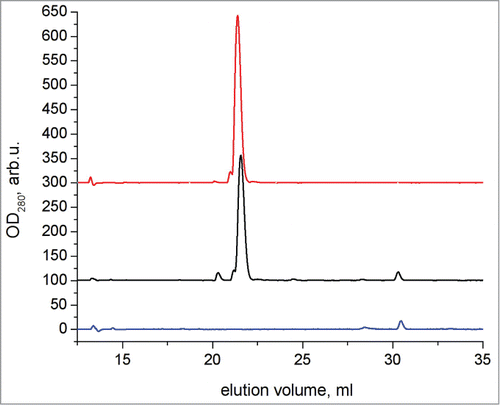 Figure 4. Chromatograms of reverse-phase HPLC of R peptide (top), WT and R peptide together after 1 month of incubation post-addition of R peptide at 4°C (middle), and WT peptide after 1 month of incubation at 4°C (bottom).