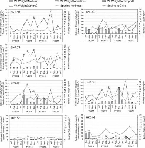 Figure 4. Temporal variations of the species richness of benthos, wet weight of benthos, and chlorophyll-a on sediments at each station in Shiosai Nagisa and Kawasaki Hama