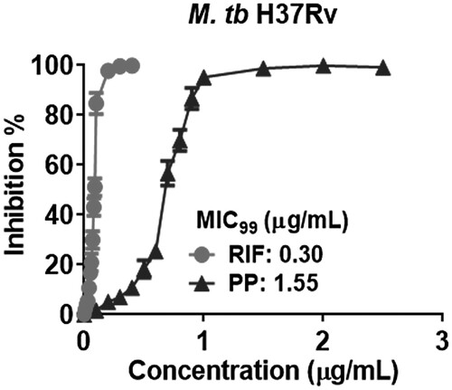 Figure 3. PP inhibits the standard laboratory strain M. tb H37Rv growth in vitro. M. tb H37Rv was cultured in the presence of various concentrations of PP for 30 days, and the A600 value of M. tb H37Rv was measured, Inhibition % and MIC99 were calculated. The data are shown as the means ± SD (n = 3).