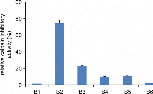 Figure 1.  Calpain inhibitory activity of subfractions (B1-B6, 100 μg/ml) of n-BuOH fraction.