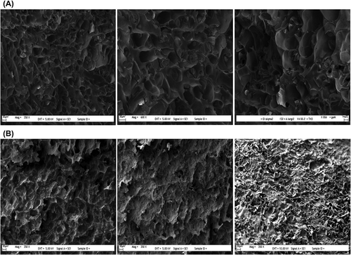 Figure 1. SEM images of cryogels A) PHEMAGA, and B) PHEMAGA-Fe3+.