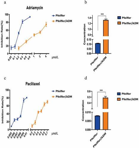 Figure 2. Pfeiffer/ADM cells are more sensitive to Paclitaxel than Adriamycin. (a-b) Calculation and comparison the IC50 of Adriamycin in Pfeiffer and Pfeiffer/ADM cells by plotting the proliferation inhibition rate curve of Adriamycin-treated Pfeiffer and Pfeiffer/ADM cells for 48 hours. (c-d) Calculation and comparion the IC50 of Paclitaxel in Pfeiffer and Pfeiffer/ADM cells by plotting the proliferation inhibition rate curve of Paclitaxel -treated Pfeiffer and Pfeiffer/ADM cells for 48 hours. Error bars represent the mean ±SD of triplicate experiments, compared with Pfeiffer, ***P < 0.005.