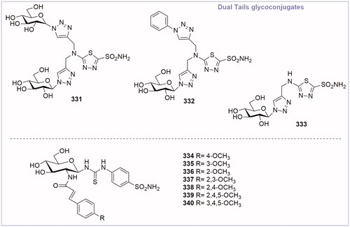 Figure 12. General structure of dual-tail CA inhibitor glycoconjugates.