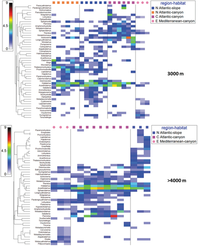 Figure 6. Shade plots based on the nematode genus composition at different depth intervals: 3000 and >4000 m. Colours indicate genus abundance as reported in the legend.