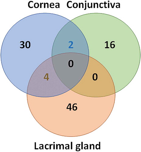 Figure 5. Venn diagram of the genes significantly (p < .05) modulated by the DED environment (vs. healthy controls)
