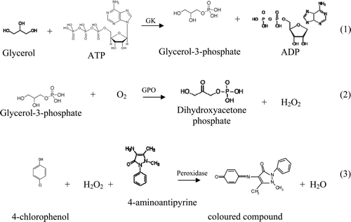 Figure 1. Enzymatic reaction scheme involving the conversion of glycerol into a coloured compound by the sequential action of GK, G3PO and peroxide enzymes. Figura 1. Esquema de la reacción enzimática para la conversión de glicerol en un compuesto de color mediante la acción secuencial de GK, G3PO y enzimas de peróxido.