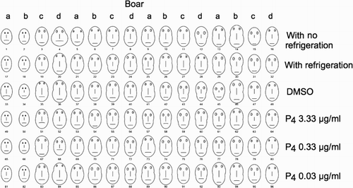 Figure 1.  Chernoff faces for individual evaluations of semen samples. Treatments are indicated on the right of each row. Letters on columns indicate boar and numbers below faces indicate number of evaluation (individual). DMSO: dimethyl sulfoxide; progesterone: (P4). Facial characteristic parameters: MTO: width of center; MPR: progressive motility; VAP: height of face; VSL: width of top half of face; VCL: width of bottom half of face; ALH: length of nose; BCF: height of mouth; STR: curvature of mouth; LIN: width of mouth; ELONG: height of eyes; AREA: distance between eyes.