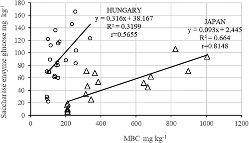 Figure 3. Relationship between soil microbial biomass C (MBC) and saccharase enzyme activity (Japan n = 18; Hungary n = 24).