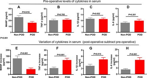 Figure 3 Relative lower baseline and less surgery-induced increase of endogenous MANF in POD patients than those in non-POD patients. ELISA kits were used to detect the pre-operative protein level of (A) MANF, (B) TNF-α, (C) IL-1β and (D) IL-6, in serum. Data are presented as the mean±SEM, Post-operative protein levels of MANF, TNF-α, IL-1β, and IL-6 in serum were detected to calculate the variations of these indicators after surgery (E–H).