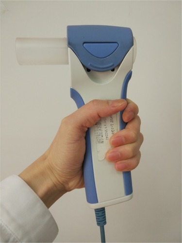 Figure 1 The handheld “disposable pneumotachograph” spirometer.