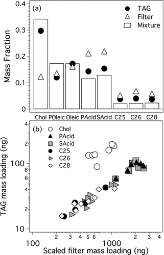 FIG. 1 (a) Comparison of TAG and filter recoveries with composition of model mixture containing. cholesterol (Chol), palmitoleic acid (POleic), oleic acid (Oleic), palmitic acid (PAcid), stearic acid (SAcid), and C25, C26, and C28 n-alkanes. (b) Cholesterol, C25, C26, C28, palmitic acid, and stearic acid mass loadings across TAG and filter samples. Samples were collected from smog chamber as aerosols and calibrated with liquid calibration standards injected into TAG collection cell. Filter mass loadings are higher due to their greater sampling rate.