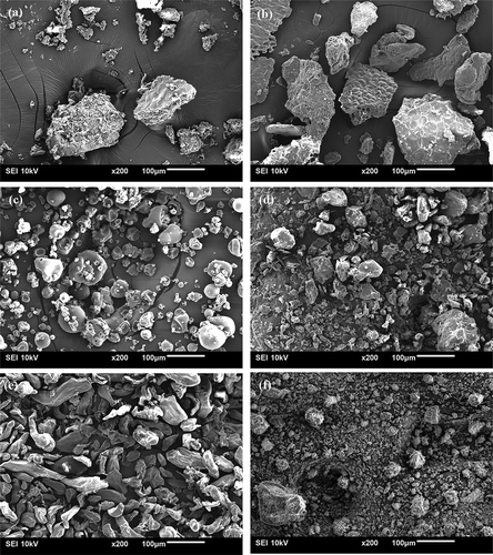 Figure 3. SEM micrographs of as received powdered ingredients: a) CMM, b) CM, c) ISP, d) WGP, e) GG and f) vitamin premix.