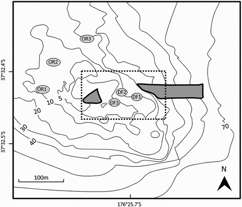 Figure 2. Outer reef (OR1–3) and debris field (DF1–3) sampling sites (grey ovals) on Otaiti (Astrolabe Reef) where DGTs were deployed and water samples collected. The approximate position of the bow and stern sections of the Rena are indicated in grey. A dashed line indicates the area designated in June 2013 as the main Rena debris field.