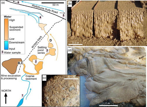Figure 10. Sediments in mine-processing waters. A, Map of the Waitahuna Gully mine site in early 2016, showing water pathways around the site and the series of suspended sediment settling ponds. Numbered sites refer to water analyses in Table 2. B, High suspended sediment load in water departing the initial concentration system in the mine. C, Coarse tailings cobble of Au-bearing conglomerate that did not disaggregate during processing. D, Sediment, and water draining from that sediment, after excavation from a filled settling pond.