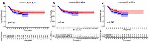 Figure 1. Survival analysis for survival rate of EC patients divided into the high- or low-score groups by comparison to the median value of each score. (a) Kaplan-Meier curve for EC patients in Immune score. (b)Kaplan-Meier curve for EC patients in Stromal score. (c) Kaplan-Meier curve for EC patients in ESTIMATE score