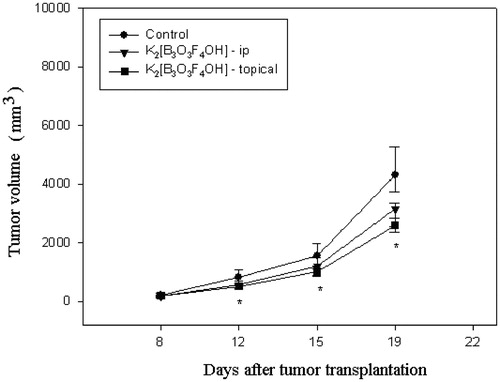 Figure 8. The effect of intraperitoneal (ip, 10 mg/kg once a day for nine consecutive days) and topical (35 mg of cream with 5% of K2[B3O3F4OH] once a day for nine consecutive days) application of K2[B3O3F4OH] on the growth of melanoma B16F10 transplanted into mouse thigh. Treatments were started at day 7 after tumor transplantation. Significant differences (p < 0.05, LSD post hoc test) between each treatment and control on a particular day are indicated with an asterisk (*). Each experimental group consisted of seven animals.