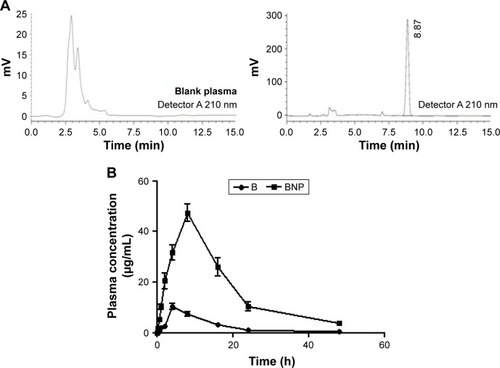 Figure 4 HPLC chromatogram and plasma drug concentration vs time curve.Notes: (A) Chromatogram of B (RT 8.87 min) through HPLC. (B) Plasma drug concentrations at various time points after oral administration of B and BNP in albino Wistar rats.Abbreviations: B, betulinic acid; RT, retention time; HPLC, high-performance liquid chromatography; BNP, B nanoparticles.