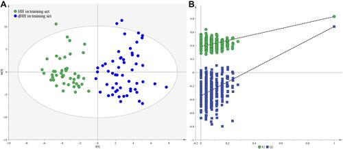 Figure 1 Metabolomic analysis of urine samples: (A) OPLS-DA model showed a clear discrimination between dHB (blue dot) and HB (green dot) in the training set; (B) permutation test showed all R2- and Q2-values to the left were lower than the original points to the right, demonstrating the OPLS-DA model’s robustness.