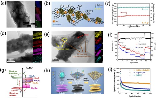 Figure 6. (a) SAED pattern and elemental mapping results of SnS@SNCF-55. (b) Diagram of sodium storage in SnS@SNCF-55. (c) Cycling performance. Copyright 2018, Elsevier [Citation82]. (d, e) Comparison of STEM-EDS mapping images with charge/discharge reaction. (f) Rate capability of NiS2@NPCTs/S (red) and NPCTs/S (blue). Copyright 2019, Springer Nature [Citation83]. (g) Schematic diagram of the electron transfer of Co-ions in the catalytic conversion of polysulfides. (h) Schematic diagram of the synthesis of S@Co1-CoS2/NC. (i) Electrochemical performance graph. Copyright 2022, WILEY-VCH [Citation84].