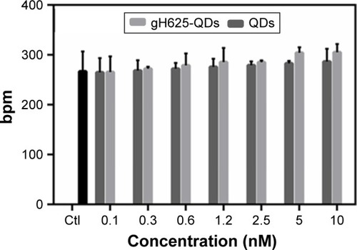 Figure 4 Observed heart rate of Daphnia magna after exposure to QDs and QDs-gH625. The results are relative to average of beats ± SD.Abbreviations: bpm, beats per min; QD, quantum dot; SD, standard deviation; Ctl, control.