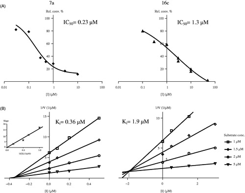 Figure 3. Concentration-dependent STS inhibition (A) and Dixon’s kinetic analysis (B) of selected 13β-estrone compounds 7a, 16c. Inset in B/7a shows the secondary plot of slopes of the Dixon’s lines vs. 1/substrate concentration.